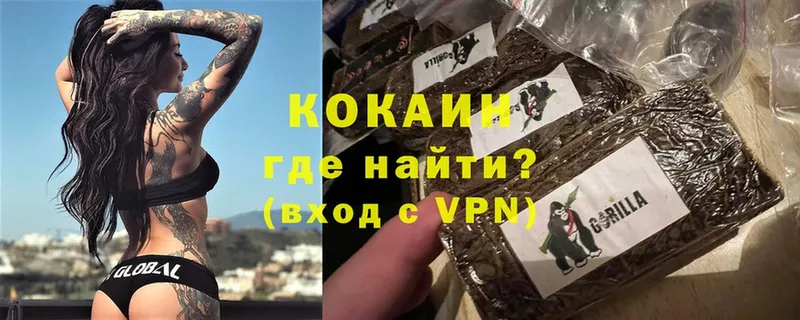 Cocaine Fish Scale  KRAKEN как зайти  Соликамск  купить закладку 