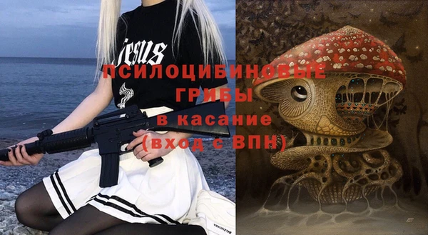 шишки Бугульма